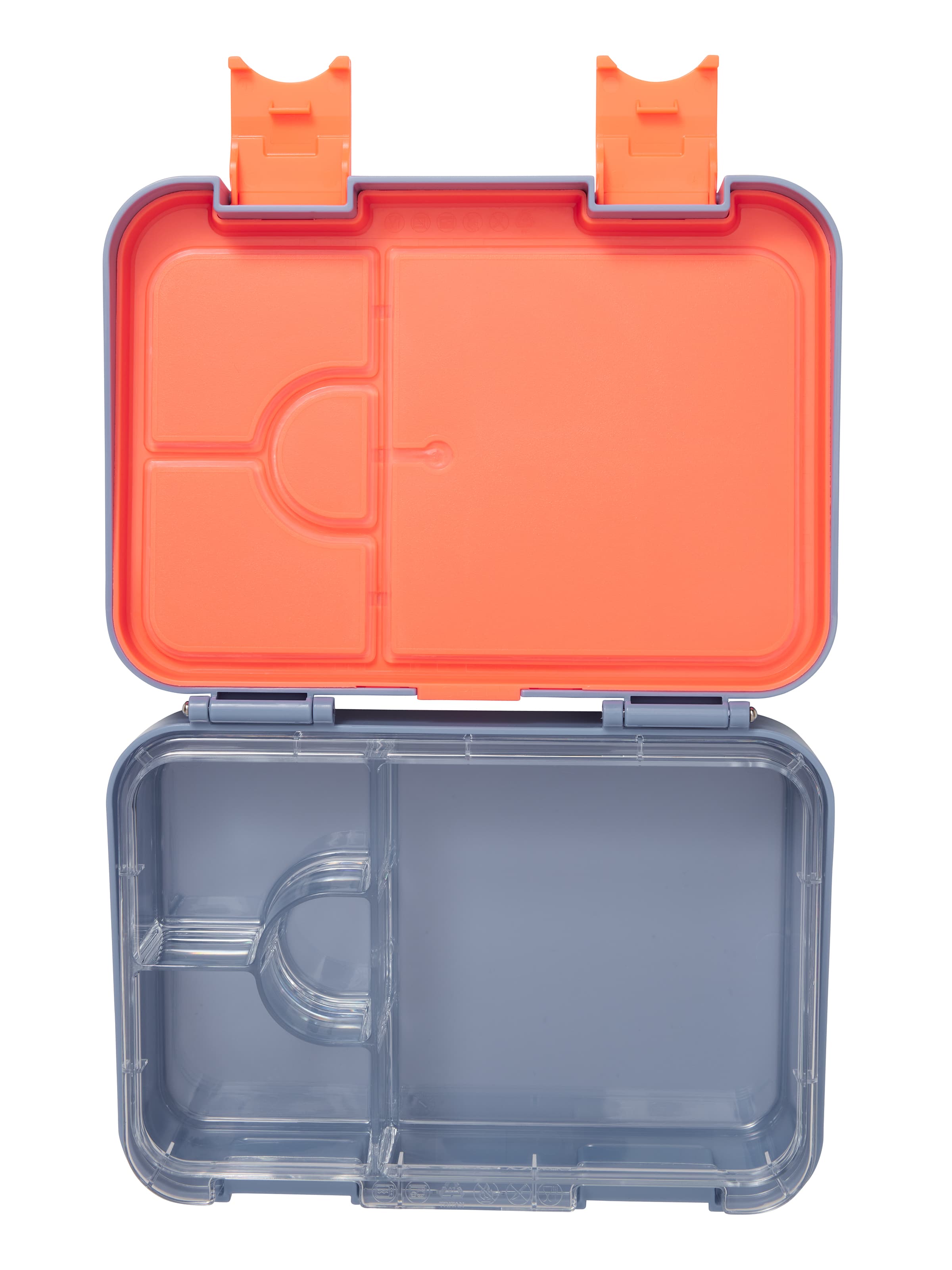 Neon Splice Bento Lunchbox