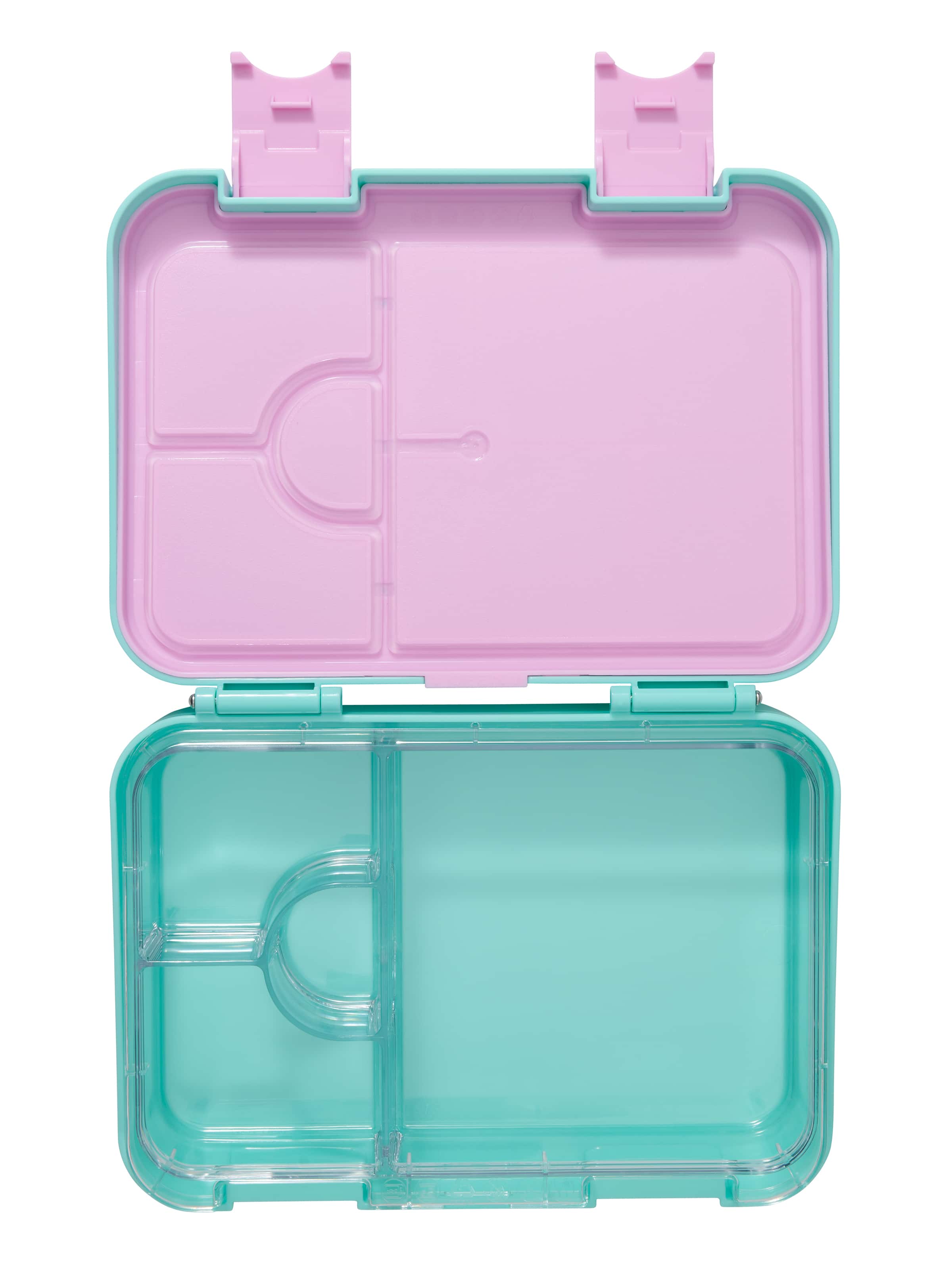 Curious Bento Lunchbox