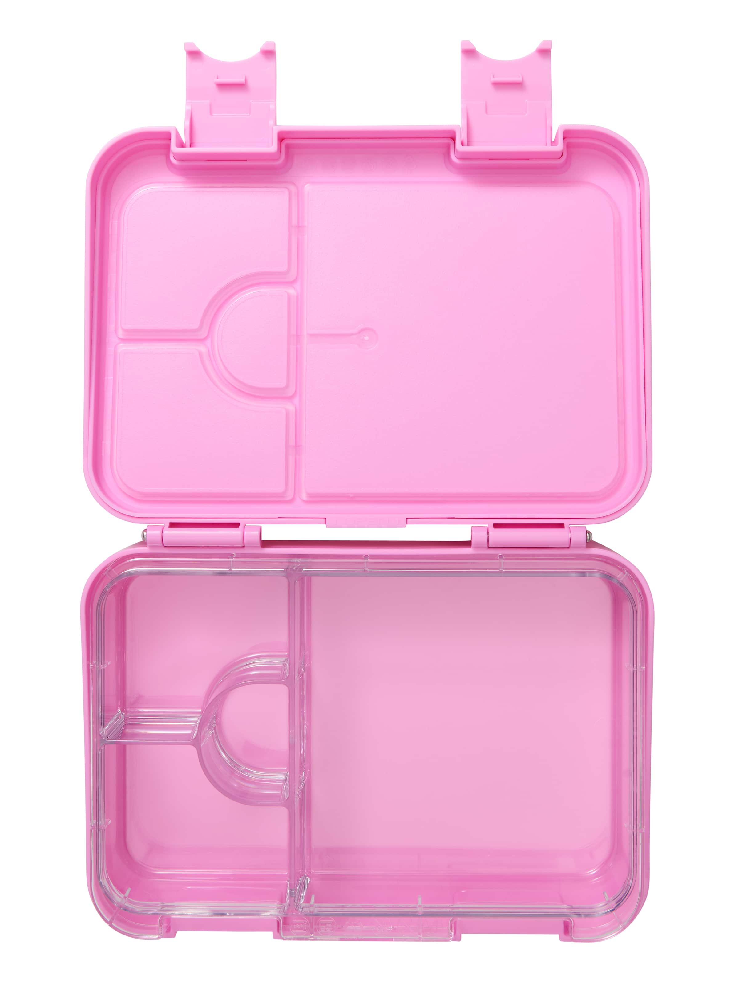 Radiant Bento Lunchbox