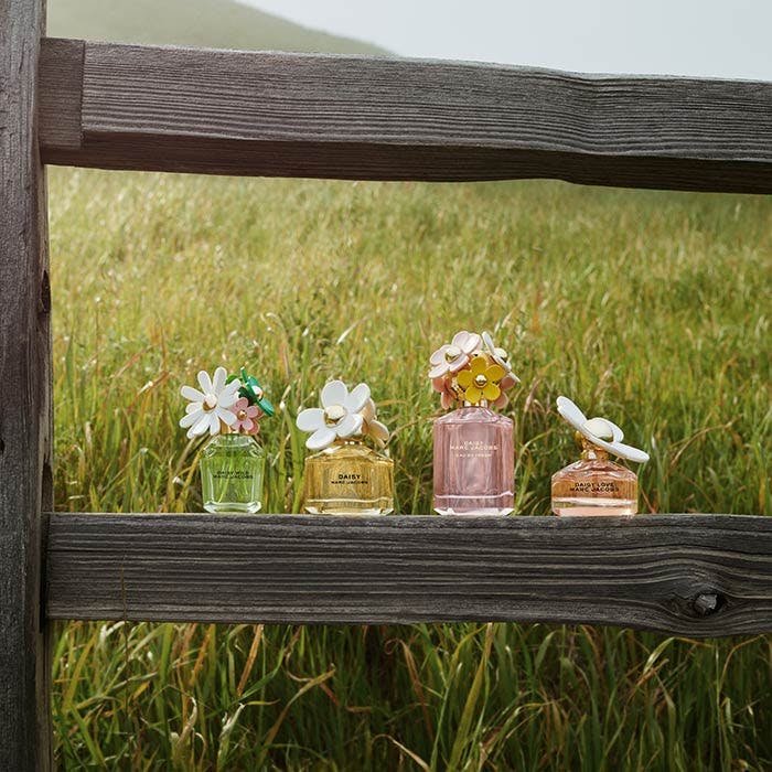 DAISY
Wild Eau So Intense