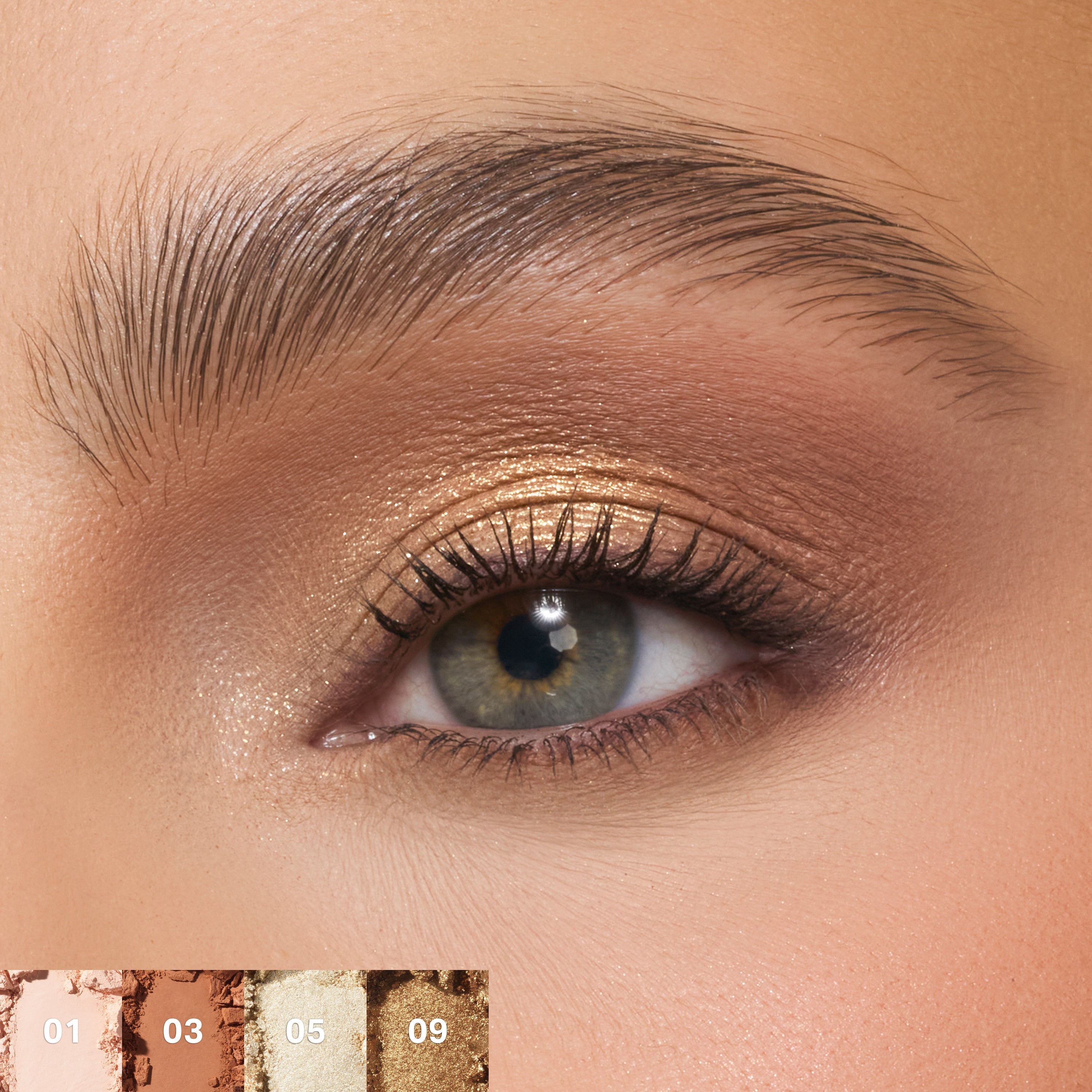 Flickering Sands 12 Pan Eyeshadow Palette