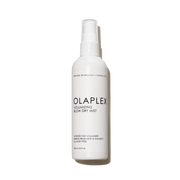 VOLUMIZING BLOW DRY MIST