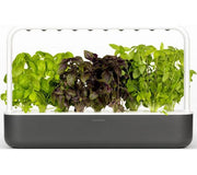 CLICK&GROW Smart Garden 9 Automatic Growing Pot - Grey