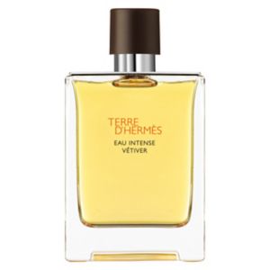 HermÃ¨s Terre D'HermÃ¨s Eau Intense Vetiver Eau de Parfum 100ml