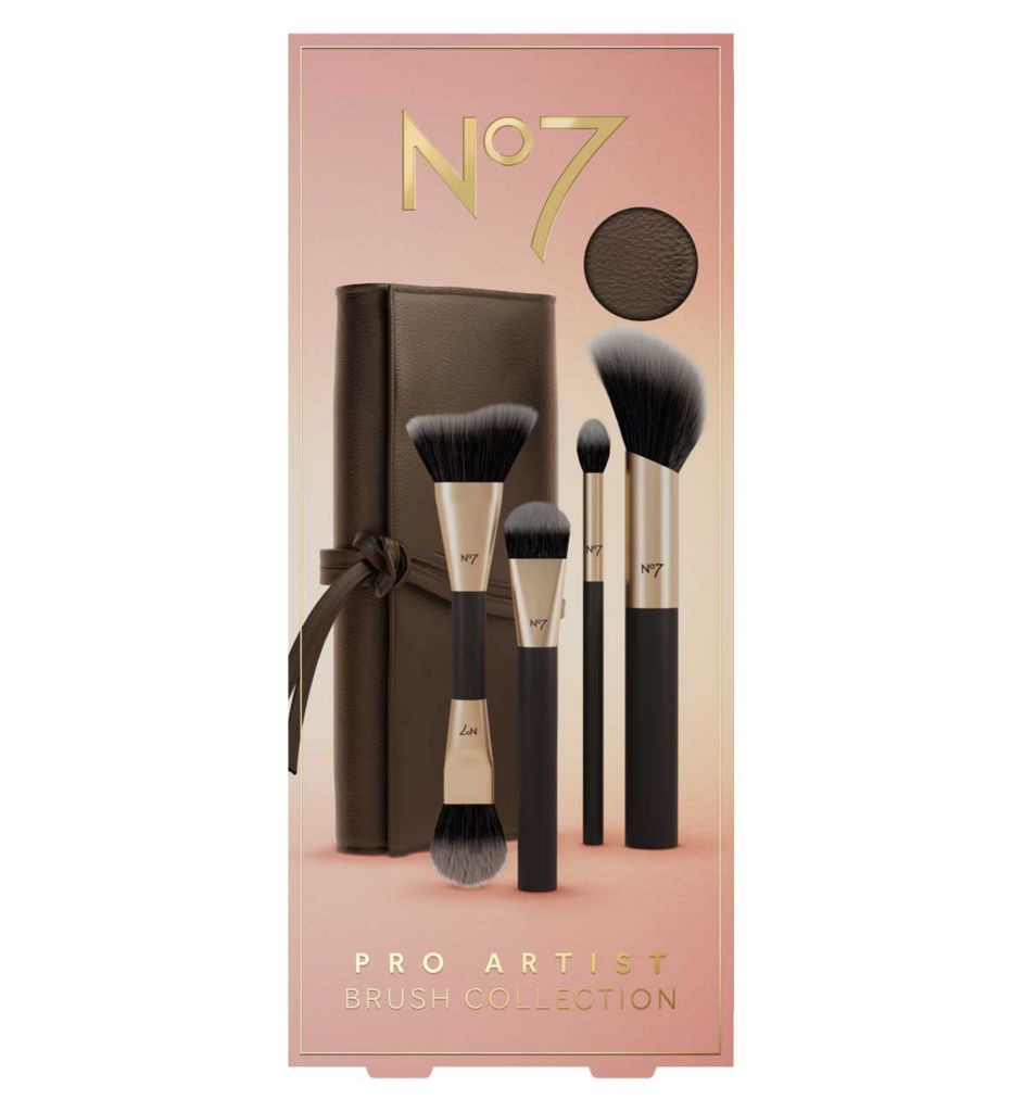 Pro Artist Brush Collection
