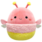 Original Squishmallows Plush Apollo the Coral Firefly 30cm