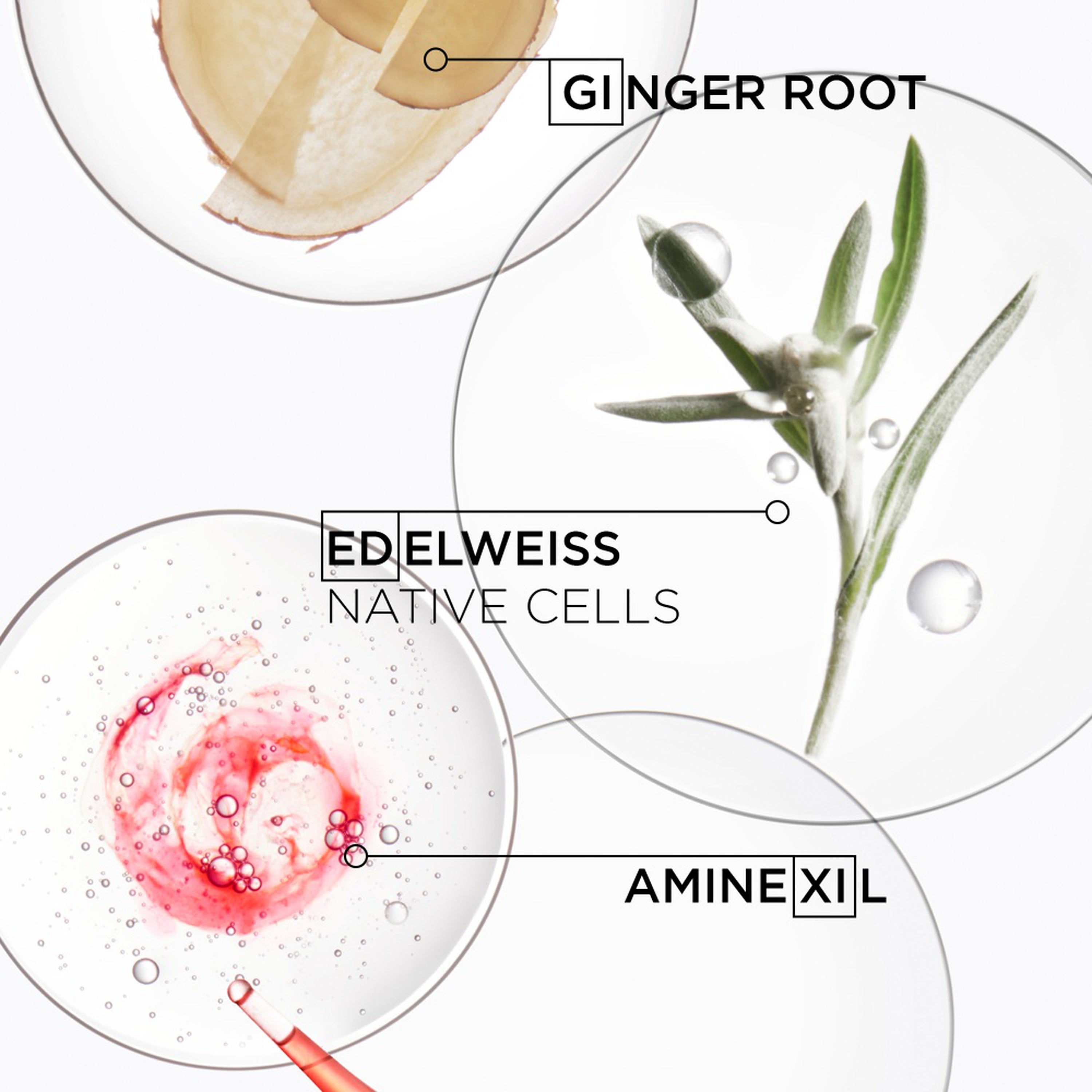 Genesis Bain Hydra-Fortifiant Shampoo