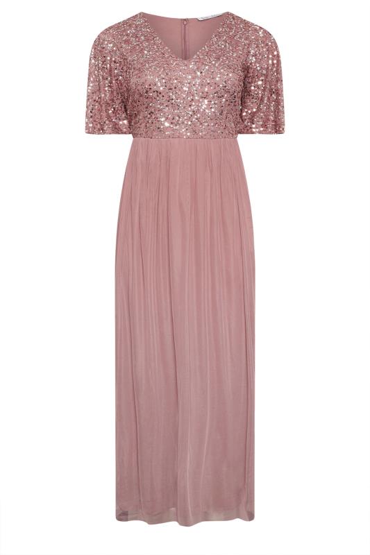 LUXE Curve Pink Embellished Maxi Dress