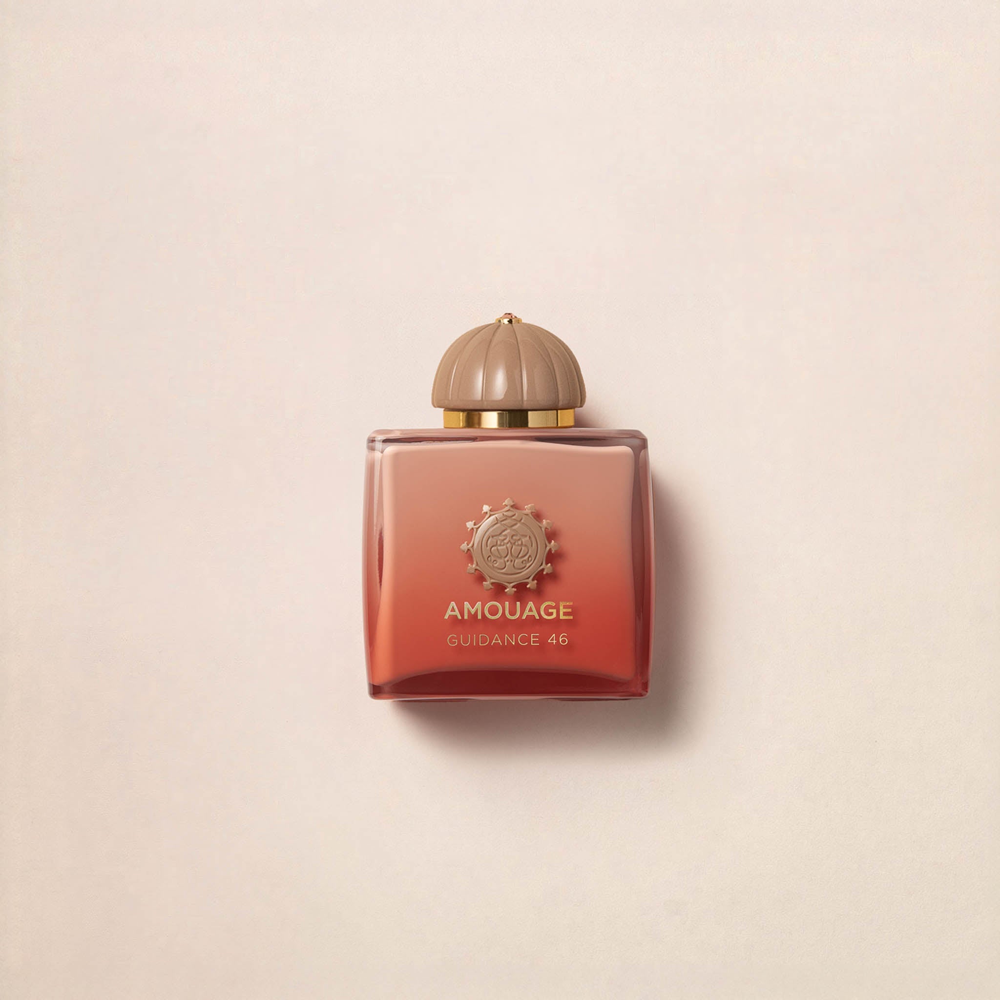 Amouage Guidance 46