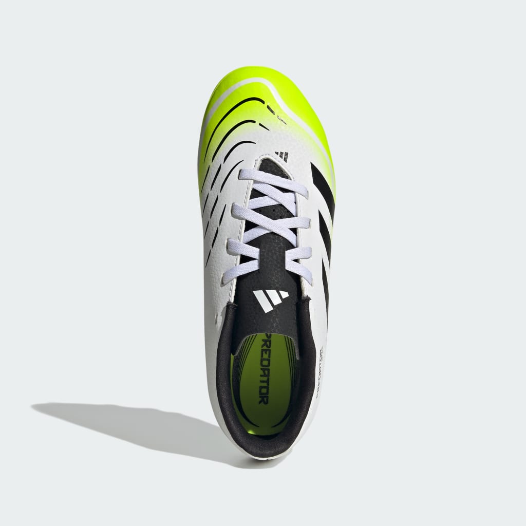Predator Club Firm/Multi-Ground Boots