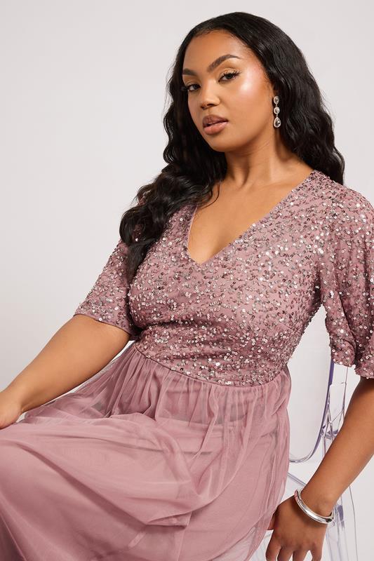LUXE Curve Pink Embellished Maxi Dress