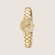 Ted Baker Ladies Jolyye Gold No-Index Dial Bracelet Watch BKPJLS505