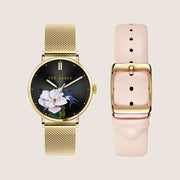 Ted Baker Ladies Phylipa Gold Black Watch and Interchangeable Strap Gift Set TWG024500
