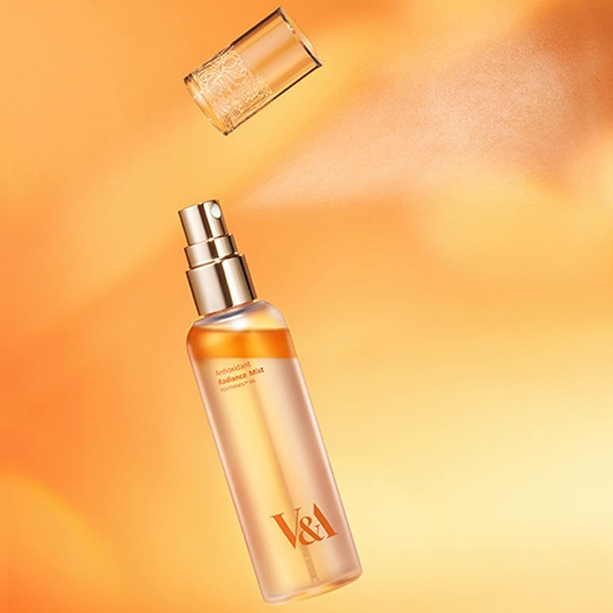 V&A BEAUTY Antioxidant Radiance Mist 100ml Double Pack