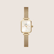 Daniel Wellington Women's Quadro Micro Gold Champagne Dial Watch DW00100656