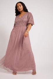 LUXE Curve Pink Embellished Maxi Dress