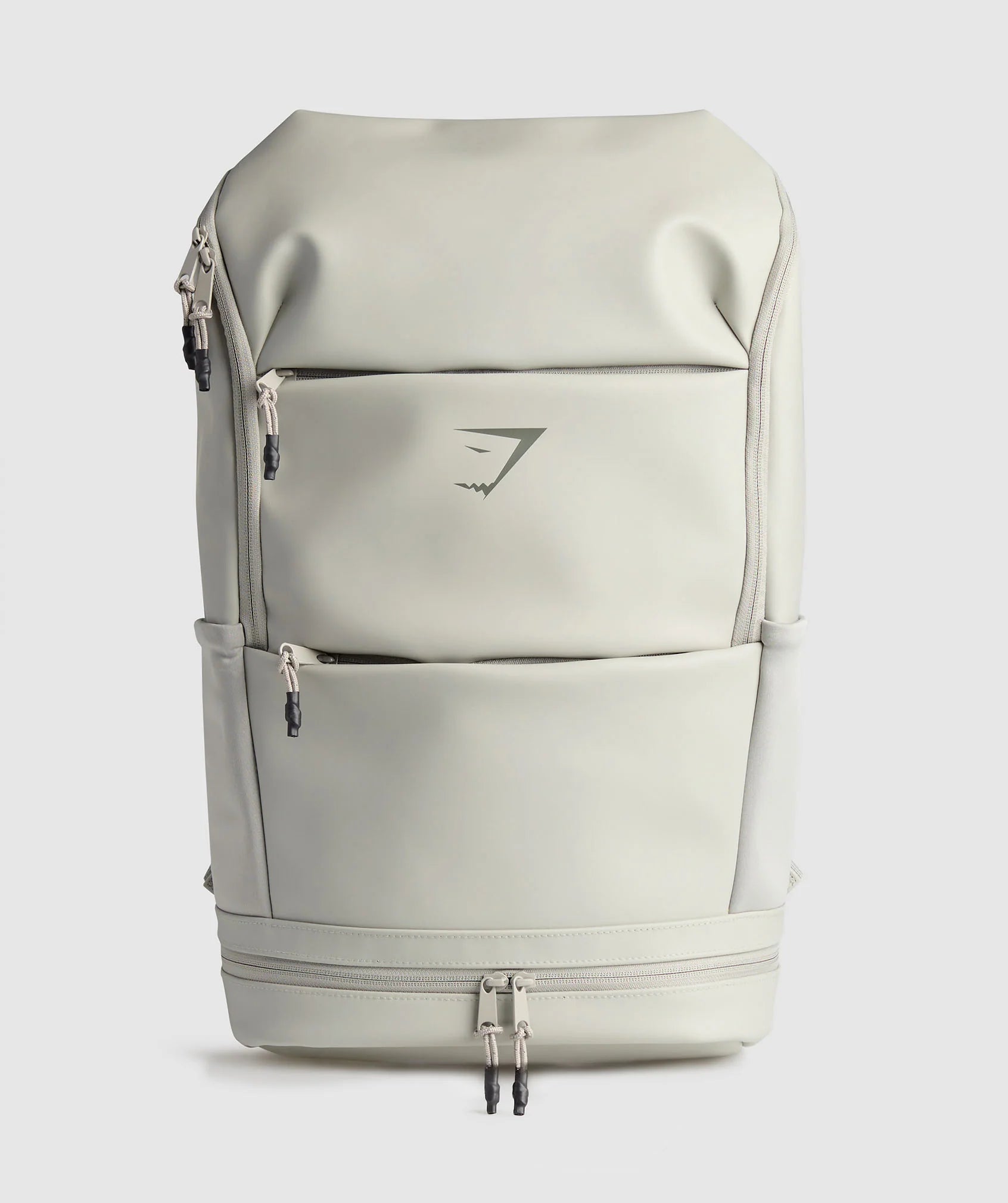 Sleek Backpack